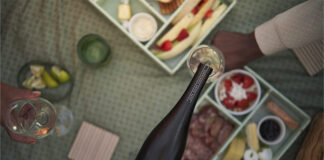 Picnic out on the lawns at Cape Point Vineyards in Noordhoek Order a Cape Point Vineyards picnic