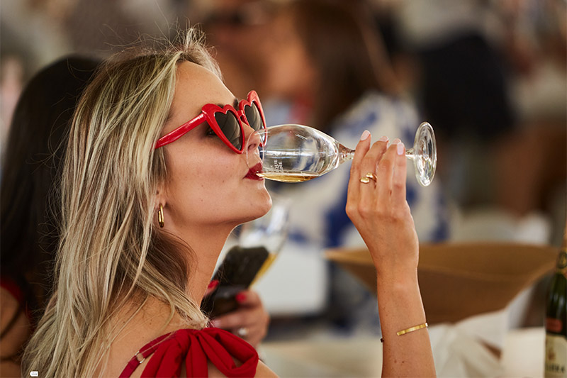 Franschhoek Cap Classique & Champagne Festival