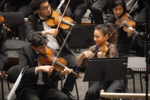 Burnished Brahms review - CPO