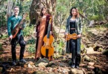 Adamastor Consort at Baroque Festival