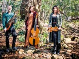 Adamastor Consort at Baroque Festival