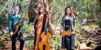 Adamastor Consort at Baroque Festival