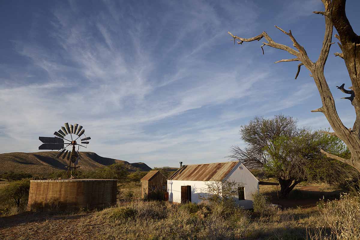 Boscia food at Tswalu Kalahari