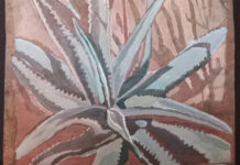 Barrydale artist Joan Peeters showcases her Topography of Fragility exhibition Artist Joan Peeters