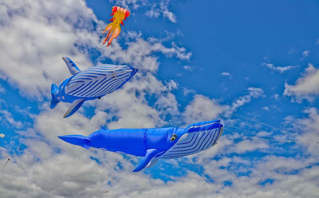 Cape Town International Kite Festival 2026