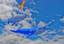 Cape Town International Kite Festival soars at Youngsfield Military Base Cape Town International Kite Festival 2026