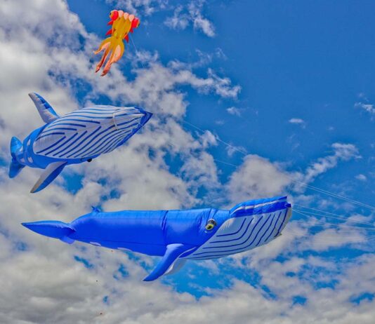 Cape Town International Kite Festival soars at Youngsfield Military Base Cape Town International Kite Festival 2026