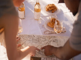La Motte’s Hiking Trail guides you through the farm’s vineyards and fynbos La Motte Hiking Trail bookings