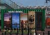 V&A Waterfront WWF Nature Is Our Home installation