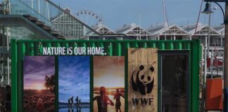 Pop-up V&A Waterfront WWF Nature Is Our Home installation at The Pierhead V&A Waterfront WWF Nature Is Our Home installation